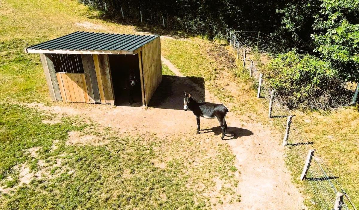 Roulotte & Foret - Evasion Boheme En Bourgogne Antully Kültér fotó